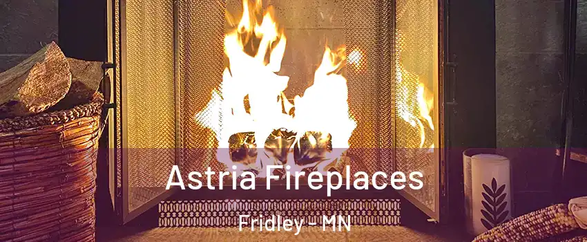  Astria Fireplaces Fridley - MN