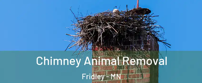  Chimney Animal Removal Fridley - MN