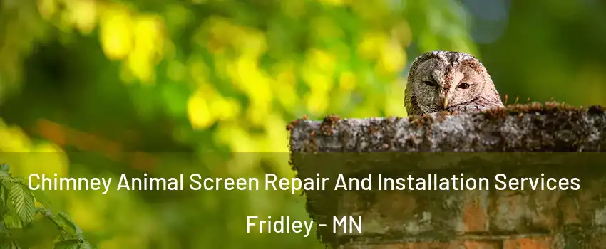  Chimney Animal Screen Repair And Installation Services Fridley - MN