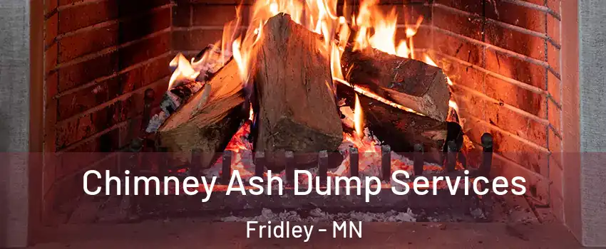  Chimney Ash Dump Services Fridley - MN