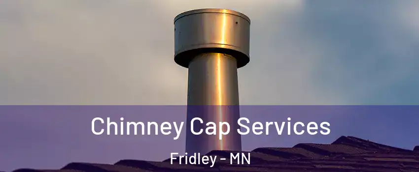  Chimney Cap Services Fridley - MN