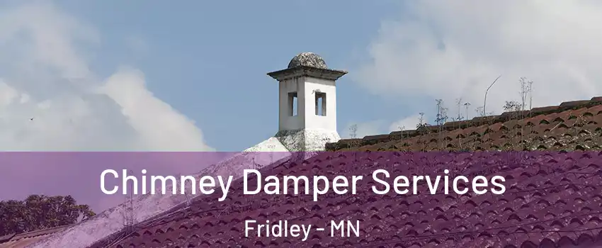  Chimney Damper Services Fridley - MN