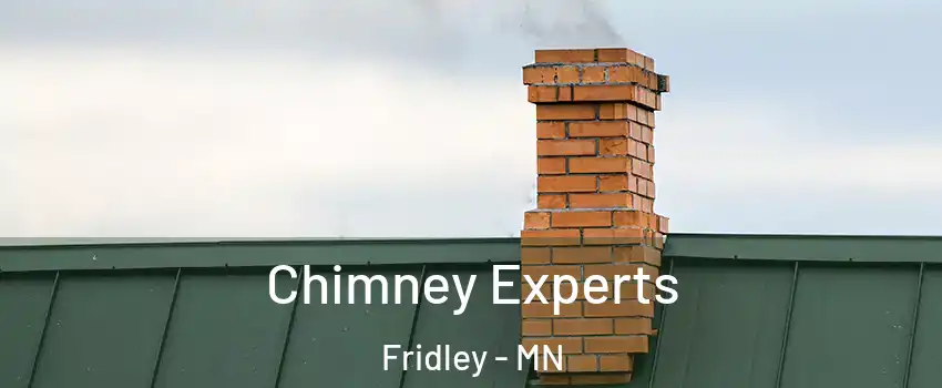 Chimney Experts Fridley - MN
