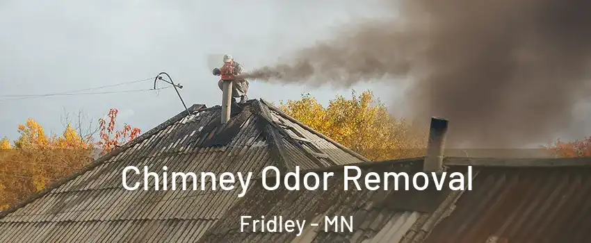  Chimney Odor Removal Fridley - MN