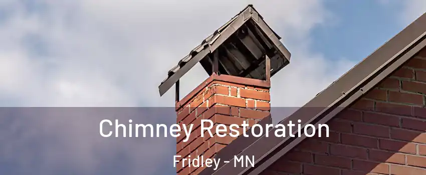  Chimney Restoration Fridley - MN