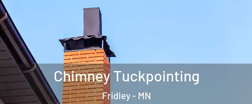  Chimney Tuckpointing Fridley - MN