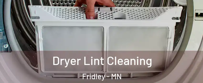  Dryer Lint Cleaning Fridley - MN