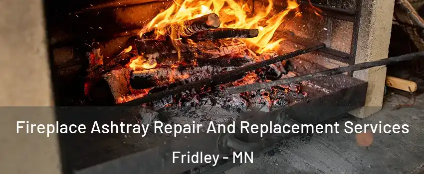  Fireplace Ashtray Repair And Replacement Services Fridley - MN