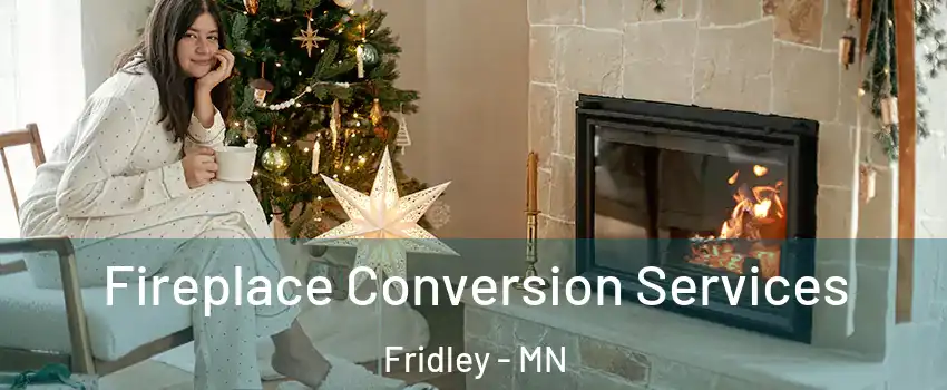  Fireplace Conversion Services Fridley - MN