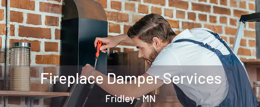  Fireplace Damper Services Fridley - MN