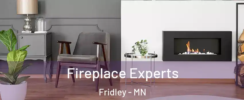 Fireplace Experts Fridley - MN