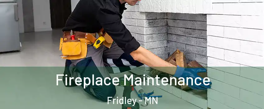  Fireplace Maintenance Fridley - MN