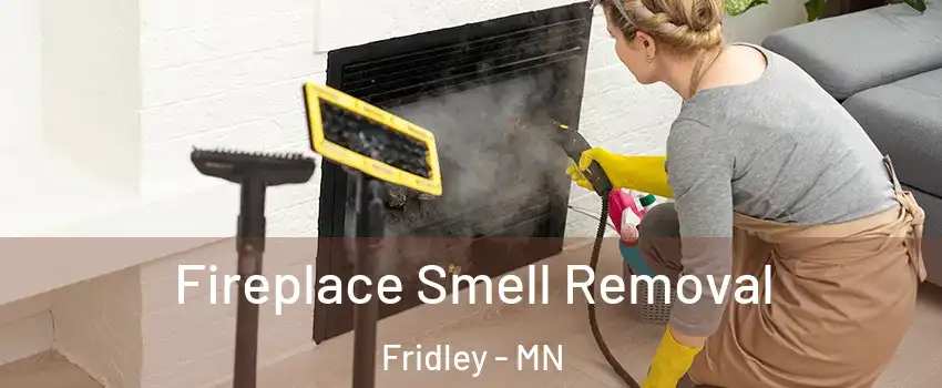  Fireplace Smell Removal Fridley - MN