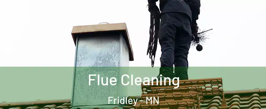  Flue Cleaning Fridley - MN