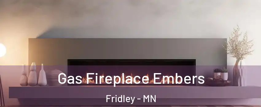  Gas Fireplace Embers Fridley - MN