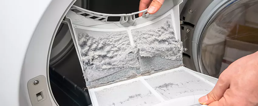 Best Dryer Lint Removal Company in Fridley, Minnesota