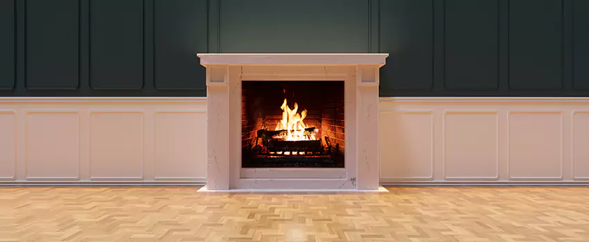 Napoleon Electric Fireplaces Inspection Service in Fridley, Minnesota