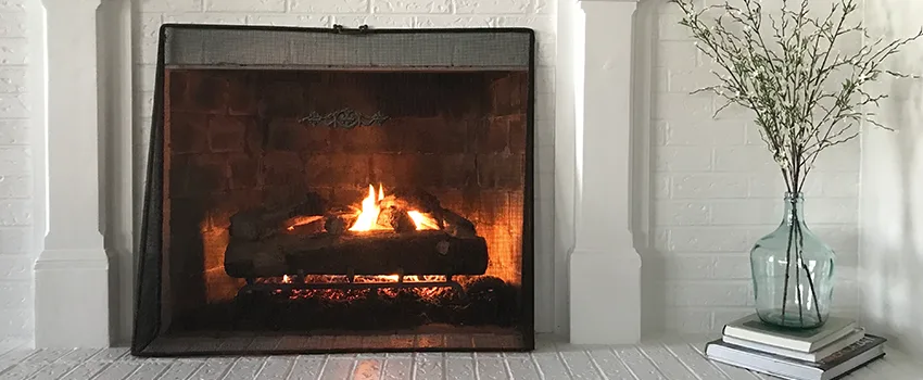Cost-Effective Fireplace Mantel Inspection And Maintenance in Fridley, MN