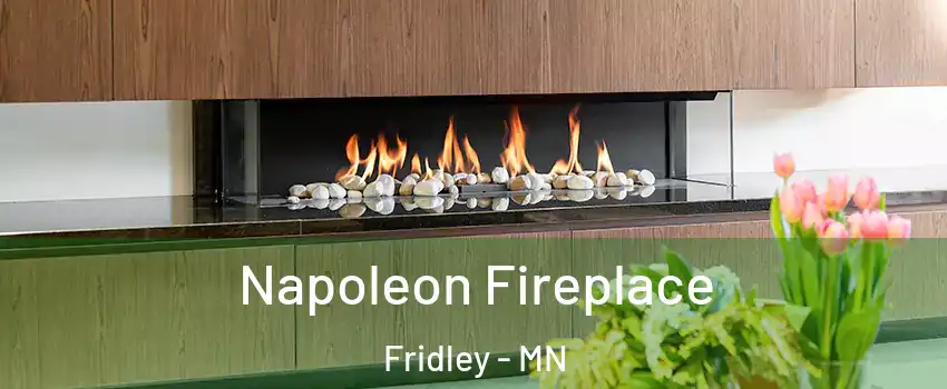  Napoleon Fireplace Fridley - MN