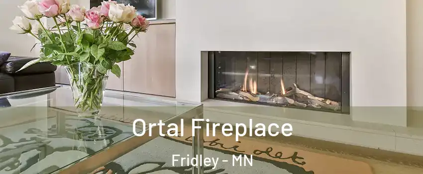  Ortal Fireplace Fridley - MN