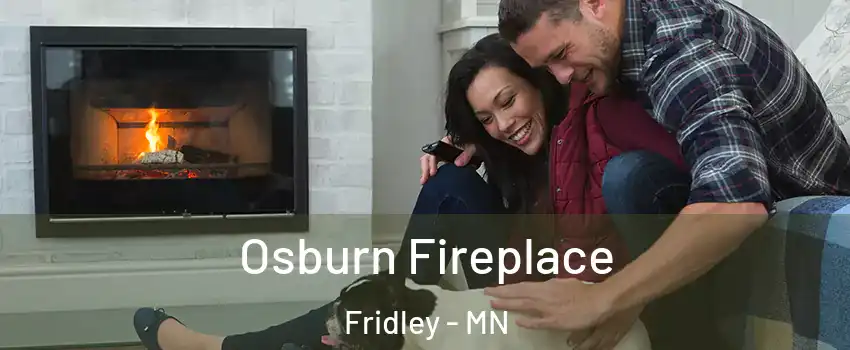  Osburn Fireplace Fridley - MN