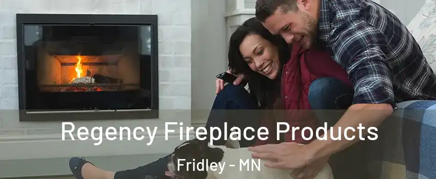  Regency Fireplace Products Fridley - MN