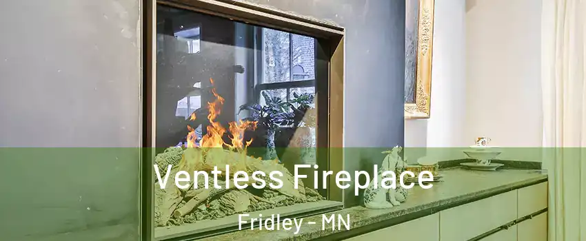  Ventless Fireplace Fridley - MN